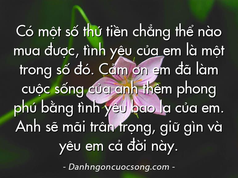Có một số thứ tiền chẳng thể nào mua được, tình yêu của em là một trong số đó. Cảm ơn em đã làm cuộc sống của anh thêm phong phú bằng tình yêu bao la của em. Anh sẽ mãi trân trọng, giữ gìn và yêu em cả đời này.