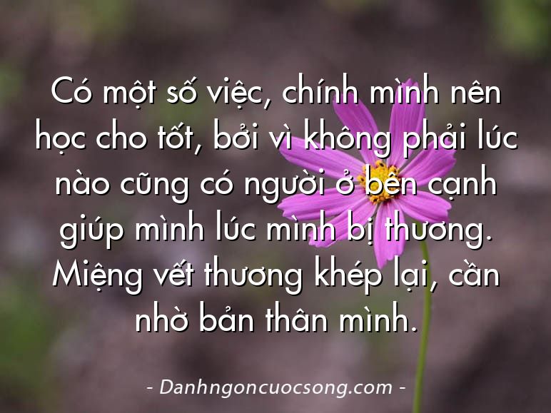 Có một số việc, chính mình nên học cho tốt, bởi vì không phải lúc nào cũng có người ở bên cạnh giúp mình lúc mình bị thương. Miệng vết thương khép lại, cần nhờ bản thân mình.