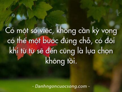 Có một số việc, không cần kỳ vọng có thể một bước đúng chỗ, có đôi khi từ từ sẽ đến cũng là lựa chọn không tồi.