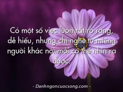 Có một số việc luôn rất rõ ràng, dễ hiểu, nhưng chỉ nghe từ miệng người khác nói mới có thể nhìn ra được.
