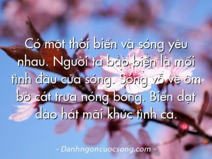 Có một thời biển và sóng yêu nhau. Người ta bảo biển là mối tình đầu của sóng. Sóng vỗ về ôm bờ cát trưa nóng bỏng. Biển dạt dào hát mãi khúc tình ca.