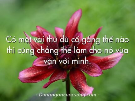 Có một vài thứ dù cố gắng thế nào thì cũng chẳng thể làm cho nó vừa vặn với mình.