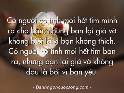 Có người cố tình moi hết tim mình ra cho bạn, nhưng bạn lại giả vờ không biết là vì bạn không thích. Có người cố tình moi hết tim bạn ra, nhưng bạn lại giả vờ không đau là bởi vì bạn yêu.