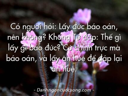 Có người hỏi: Lấy đức báo oán, nên không? Khổng Tử đáp: Thế gì lấy gì báo đức? Cứ chính trực mà báo oán, và lấy ân huệ để đáp lại ân huệ.