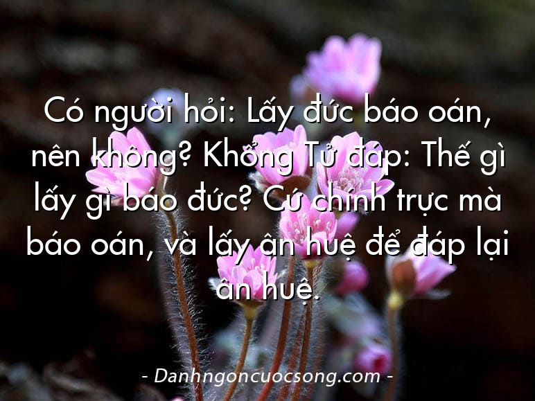 Có người hỏi: Lấy đức báo oán, nên không? Khổng Tử đáp: Thế gì lấy gì báo đức? Cứ chính trực mà báo oán, và lấy ân huệ để đáp lại ân huệ.