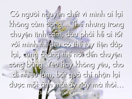 Có người nguyện chết vì mình ai lại không cảm động… Thế nhưng trong chuyện tình cảm, đâu phải hễ ai tốt với mình thì đều có thể tùy tiện đáp lại, cũng chẳng thể nói đến chuyện công bằng. Yêu hay không yêu, cho đi nhiều lắm, bất quả chỉ nhận lại được mỗi ánh mắt áy náy mà thôi…