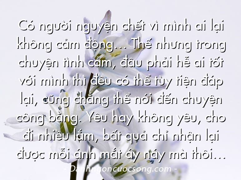 Có người nguyện chết vì mình ai lại không cảm động… Thế nhưng trong chuyện tình cảm, đâu phải hễ ai tốt với mình thì đều có thể tùy tiện đáp lại, cũng chẳng thể nói đến chuyện công bằng. Yêu hay không yêu, cho đi nhiều lắm, bất quả chỉ nhận lại được mỗi ánh mắt áy náy mà thôi…