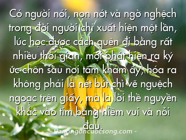 Có người nói, non nớt và ngờ nghệch trong đời người chỉ xuất hiện một lần, lúc học được cách quên đi bằng rất nhiều thời gian, mới phát hiện ra ký ức chôn sâu nơi tâm khảm ấy, hóa ra không phải là nét bút chì vẽ nguệch ngoạc trên giấy, mà là lời thề nguyền khắc vào tim bằng niềm vui và nỗi đau.
