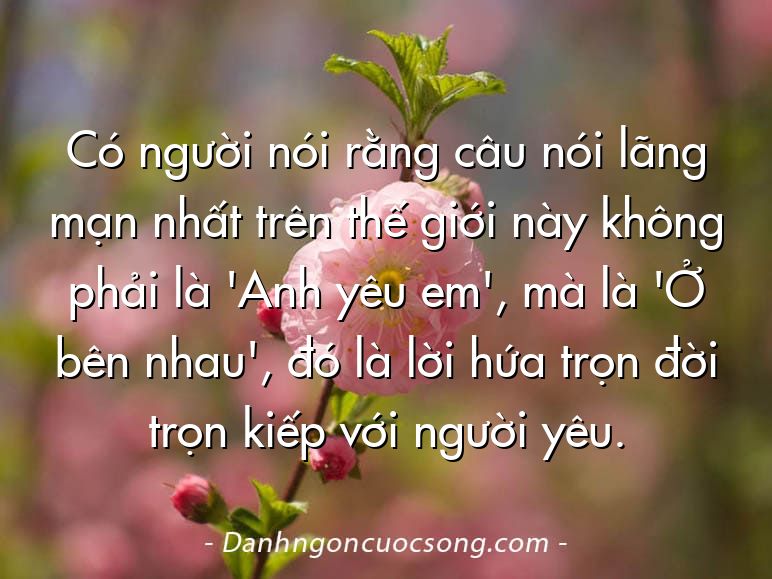 Có người nói rằng câu nói lãng mạn nhất trên thế giới này không phải là 'Anh yêu em', mà là 'Ở bên nhau', đó là lời hứa trọn đời trọn kiếp với người yêu.