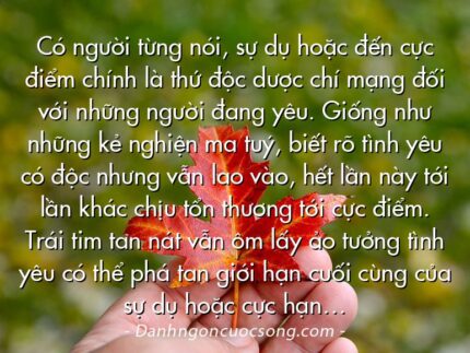 Có người từng nói, sự dụ hoặc đến cực điểm chính là thứ độc dược chí mạng đối với những người đang yêu. Giống như những kẻ nghiện ma tuý, biết rõ tình yêu có độc nhưng vẫn lao vào, hết lần này tới lần khác chịu tổn thương tới cực điểm. Trái tim tan nát vẫn ôm lấy ảo tưởng tình yêu có thể phá tan giới hạn cuối cùng của sự dụ hoặc cực hạn…