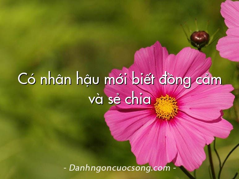 Có nhân hậu mới biết đồng cảm và sẻ chia