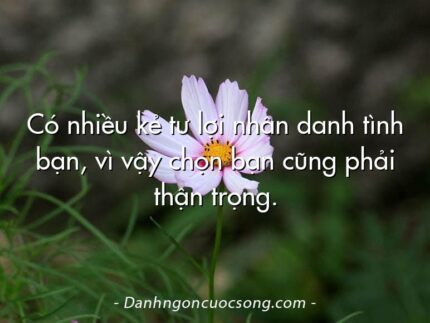 Có nhiều kẻ tư lợi nhân danh tình bạn, vì vậy chọn bạn cũng phải thận trọng.