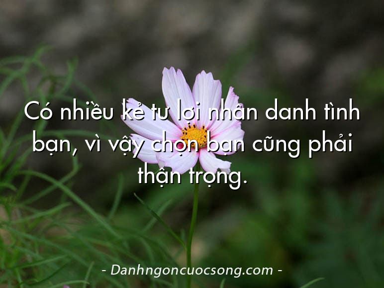 Có nhiều kẻ tư lợi nhân danh tình bạn, vì vậy chọn bạn cũng phải thận trọng.