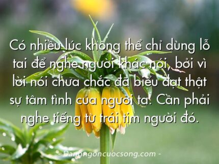 Có nhiều lúc không thể chỉ dùng lỗ tai để nghe người khác nói, bởi vì lời nói chưa chắc đã biểu đạt thật sự tâm tình của người ta. Cần phải nghe tiếng từ trái tim người đó.