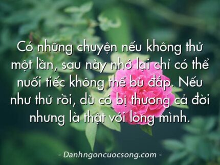 Có những chuyện nếu không thử một lần, sau này nhớ lại chỉ có thể nuối tiếc không thể bù đắp. Nếu như thử rồi, dù có bị thương cả đời nhưng là thật với lòng mình.