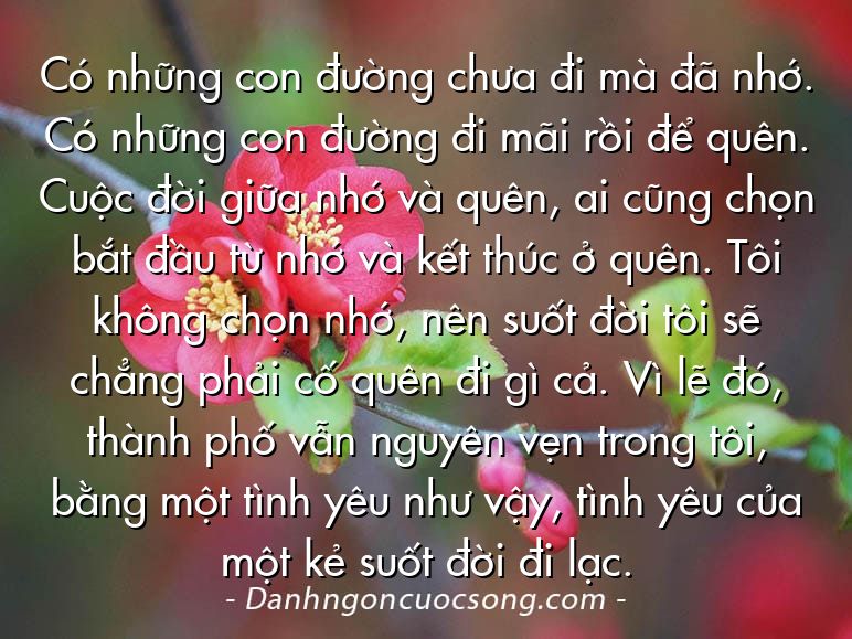 Có những con đường chưa đi mà đã nhớ. Có những con đường đi mãi rồi để quên. Cuộc đời giữa nhớ và quên, ai cũng chọn bắt đầu từ nhớ và kết thúc ở quên. Tôi không chọn nhớ, nên suốt đời tôi sẽ chẳng phải cố quên đi gì cả. Vì lẽ đó, thành phố vẫn nguyên vẹn trong tôi, bằng một tình yêu như vậy, tình yêu của một kẻ suốt đời đi lạc.