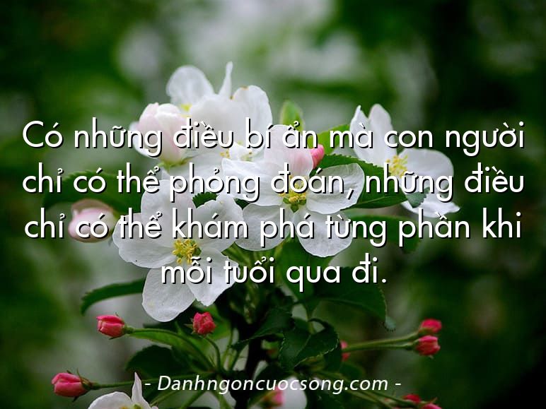 Có những điều bí ẩn mà con người chỉ có thể phỏng đoán, những điều chỉ có thể khám phá từng phần khi mỗi tuổi qua đi.