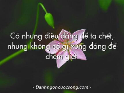 Có những điều đáng để ta chết, nhưng không có gì xứng đáng để chém giết.
