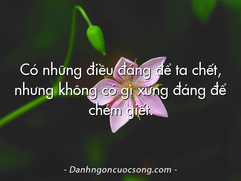 Có những điều đáng để ta chết, nhưng không có gì xứng đáng để chém giết.
