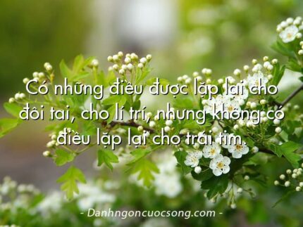 Có những điều được lặp lại cho đôi tai, cho lí trí, nhưng không có điều lặp lại cho trái tim.
