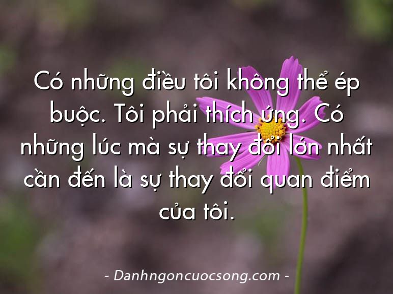 Có những điều tôi không thể ép buộc. Tôi phải thích ứng. Có những lúc mà sự thay đổi lớn nhất cần đến là sự thay đổi quan điểm của tôi.