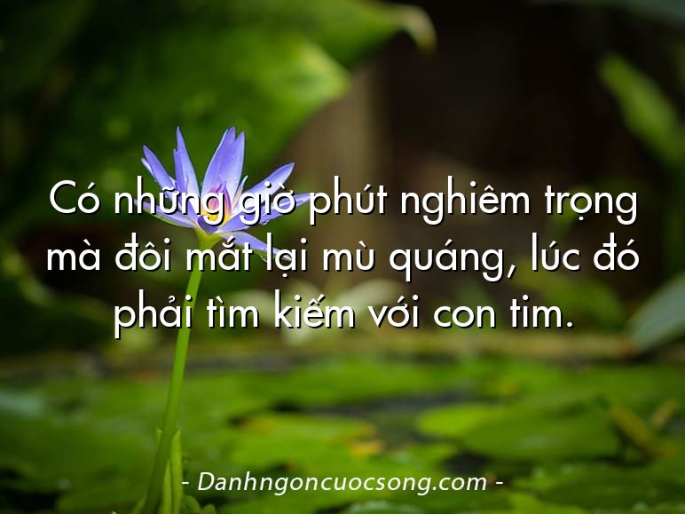 Có những giờ phút nghiêm trọng mà đôi mắt lại mù quáng, lúc đó phải tìm kiếm với con tim.
