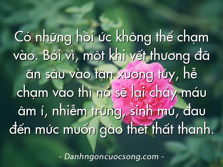 Có những hồi ức không thể chạm vào. Bởi vì, một khi vết thương đã ăn sâu vào tận xương tủy, hễ chạm vào thì nó sẽ lại chảy máu âm ỉ, nhiễm trùng, sinh mủ, đau đến mức muốn gào thét thất thanh.