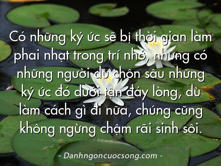 Có những ký ức sẽ bị thời gian làm phai nhạt trong trí nhớ, nhưng có những người dù chôn sâu những ký ức đó dưới tận đáy lòng, dù làm cách gì đi nữa, chúng cũng không ngừng chậm rãi sinh sôi.
