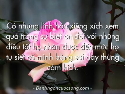 Có những linh hồn xiềng xích xem quá trọng sự biết ơn đối với những điều tốt họ nhận được đến mức họ tự siết cổ mình bằng sợi dây thừng cảm kích.