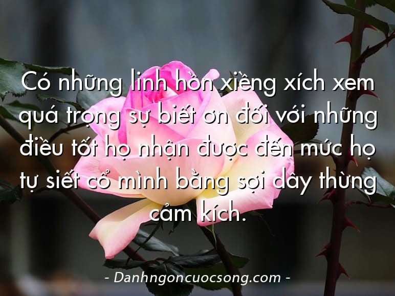 Có những linh hồn xiềng xích xem quá trọng sự biết ơn đối với những điều tốt họ nhận được đến mức họ tự siết cổ mình bằng sợi dây thừng cảm kích.