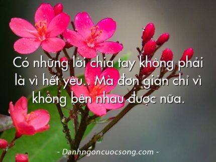 Có những lời chia tay không phải là vì hết yêu.. Mà đơn giản chỉ vì không bên nhau được nữa.