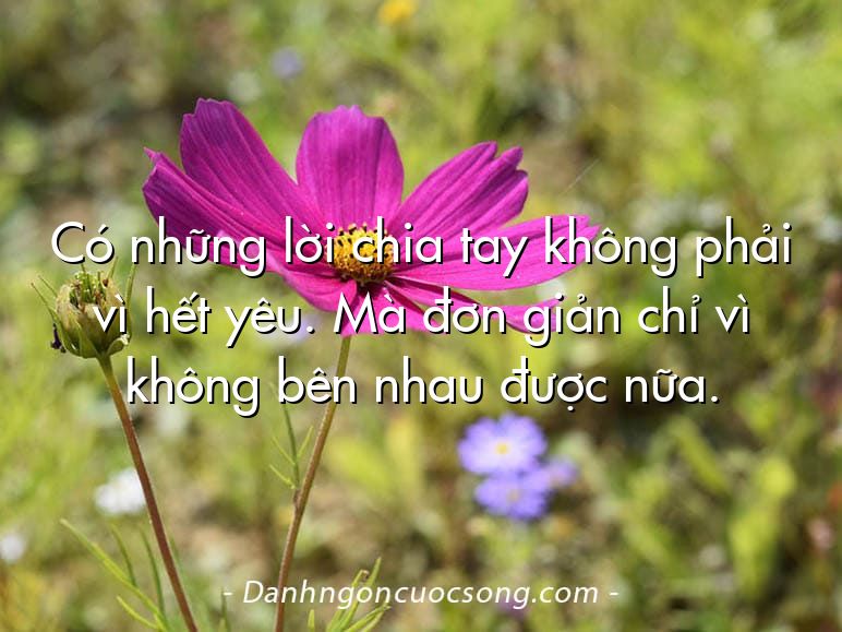 Có những lời chia tay không phải vì hết yêu. Mà đơn giản chỉ vì không bên nhau được nữa.