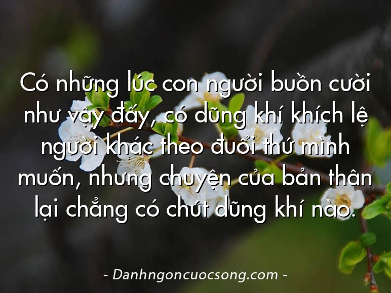 Có những lúc con người buồn cười như vậy đấy, có dũng khí khích lệ người khác theo đuổi thứ mình muốn, nhưng chuyện của bản thân lại chẳng có chút dũng khí nào.