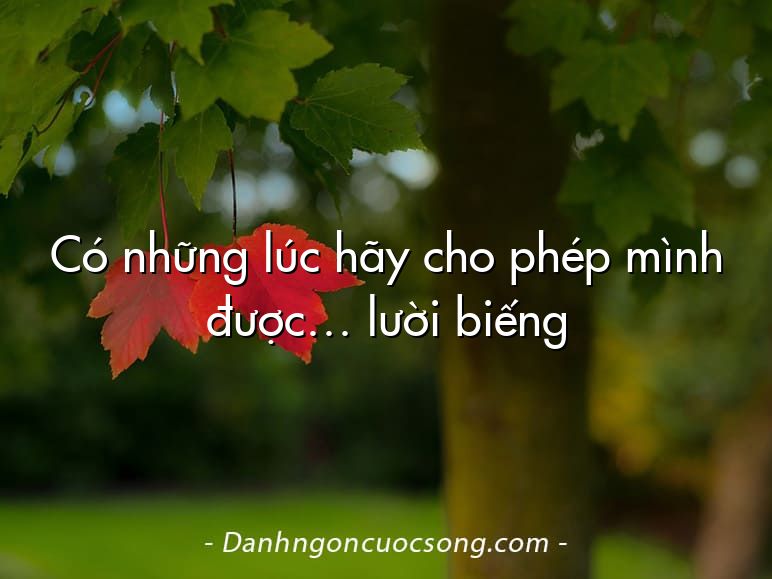 Có những lúc hãy cho phép mình được… lười biếng