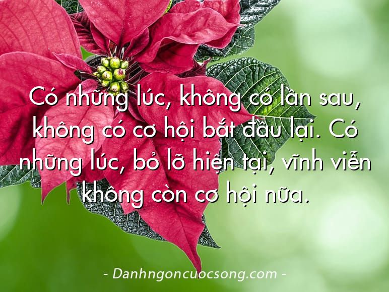 Có những lúc, không có lần sau, không có cơ hội bắt đầu lại. Có những lúc, bỏ lỡ hiện tại, vĩnh viễn không còn cơ hội nữa.