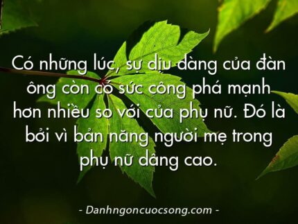 Có những lúc, sự dịu dàng của đàn ông còn có sức công phá mạnh hơn nhiều so với của phụ nữ. Đó là bởi vì bản năng người mẹ trong phụ nữ dâng cao.