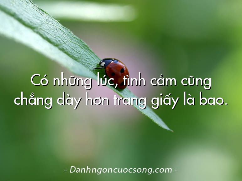 Có những lúc, tình cảm cũng chẳng dày hơn trang giấy là bao.