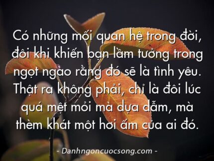 Có những mối quan hệ trong đời, đôi khi khiến bạn lầm tưởng trong ngọt ngào rằng đó sẽ là tình yêu. Thật ra không phải, chỉ là đôi lúc quá mệt mỏi mà dựa dẫm, mà thèm khát một hơi ấm của ai đó.