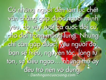 Có những người đến tận lúc chết vẫn chẳng gặp được người mình yêu, do vậy suốt cả cuộc đời cứ chờ đợi trong mông lung. Nhưng chỉ cần gặp được, yêu người đó, bạn sẽ hiểu, nguyên tắc, lòng tự tôn, sự kiêu ngạo… những thứ ấy đều trở nên vô dụng.