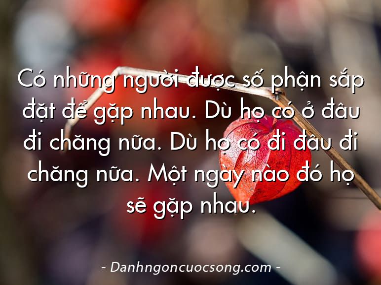 Có những người được số phận sắp đặt để gặp nhau. Dù họ có ở đâu đi chăng nữa. Dù họ có đi đâu đi chăng nữa. Một ngày nào đó họ sẽ gặp nhau.