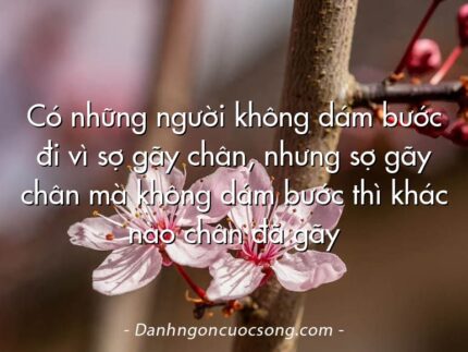 Có những người không dám bước đi vì sợ gãy chân, nhưng sợ gãy chân mà không dám bước thì khác nào chân đã gãy