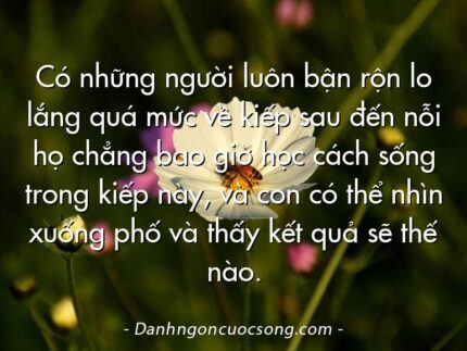 Có những người luôn bận rộn lo lắng quá mức về kiếp sau đến nỗi họ chẳng bao giờ học cách sống trong kiếp này, và con có thể nhìn xuống phố và thấy kết quả sẽ thế nào.