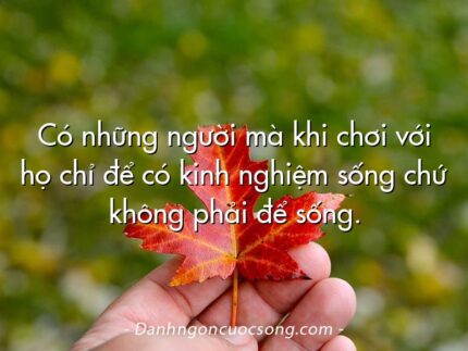 Có những người mà khi chơi với họ chỉ để có kinh nghiệm sống chứ không phải để sống.