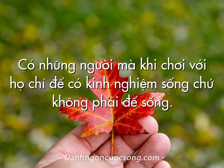 Có những người mà khi chơi với họ chỉ để có kinh nghiệm sống chứ không phải để sống.
