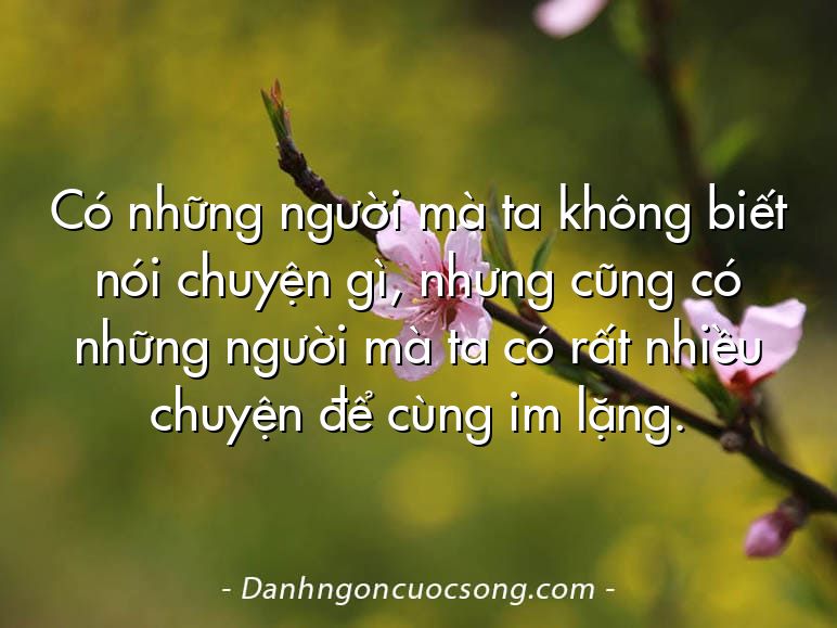 Có những người mà ta không biết nói chuyện gì, nhưng cũng có những người mà ta có rất nhiều chuyện để cùng im lặng.