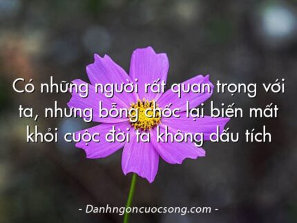 Có những người rất quan trọng với ta, nhưng bỗng chốc lại biến mất khỏi cuộc đời ta không dấu tích