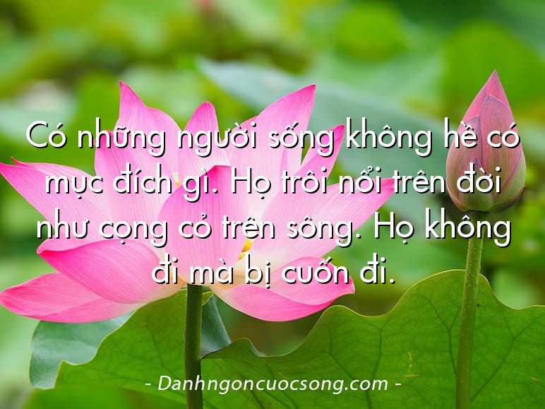 Có những người sống không hề có mục đích gì. Họ trôi nổi trên đời như cọng cỏ trên sông. Họ không đi mà bị cuốn đi.