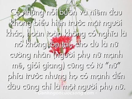 Có những nỗi buồn và niềm đau không biểu hiện trước mặt người khác, hoàn toàn không có nghĩa là nó không tồn tại, cho dù là nữ cường nhân (người phụ nữ mạnh mẽ, giỏi giang) cũng có từ “nữ” phía trước nhưng họ có mạnh đến đâu cũng chỉ là một người phụ nữ.