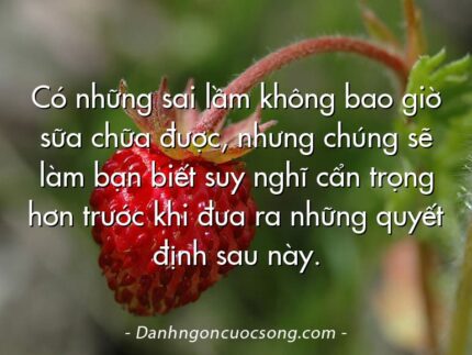 Có những sai lầm không bao giờ sữa chữa được, nhưng chúng sẽ làm bạn biết suy nghĩ cẩn trọng hơn trước khi đưa ra những quyết định sau này.