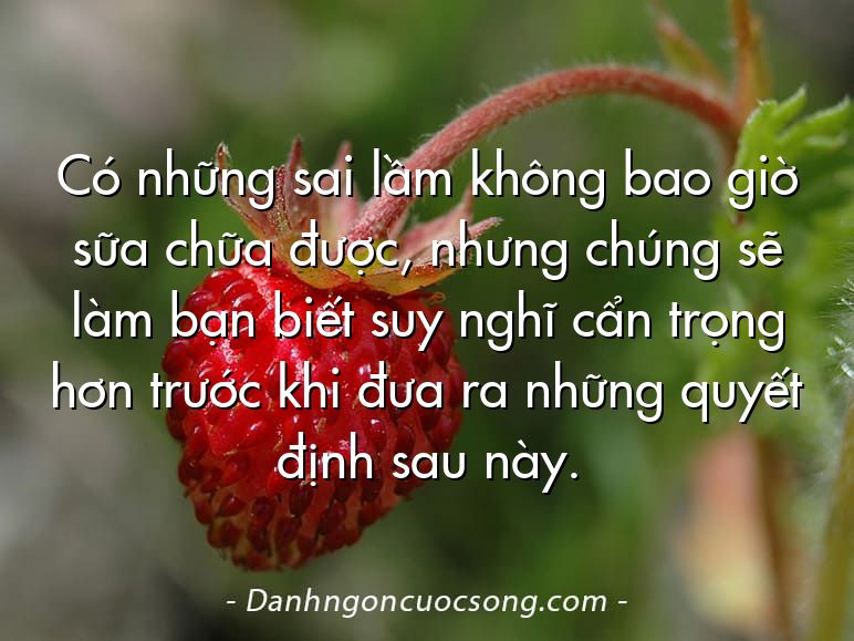 Có những sai lầm không bao giờ sữa chữa được, nhưng chúng sẽ làm bạn biết suy nghĩ cẩn trọng hơn trước khi đưa ra những quyết định sau này.